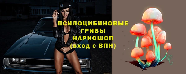 МДПВ Пестово
