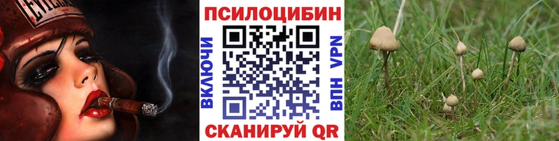 KRAKEN   Верхняя Салда  Псилоцибиновые грибы Psilocybe 
