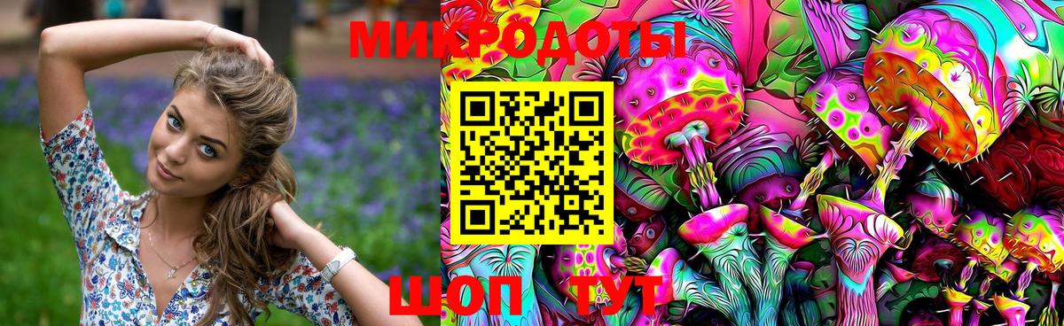 Псилоцибиновые грибы Psilocybe Верхняя Салда