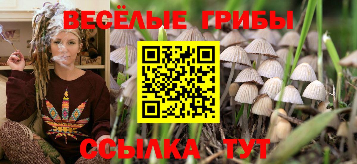 Галлюциногенные грибы Psilocybine cubensis  Вход с VPN  Верхняя Салда 