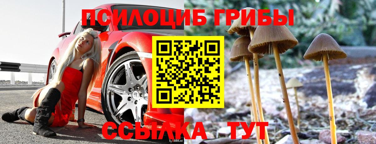 Галлюциногенные грибы MAGIC MUSHROOMS  Верхняя Салда 